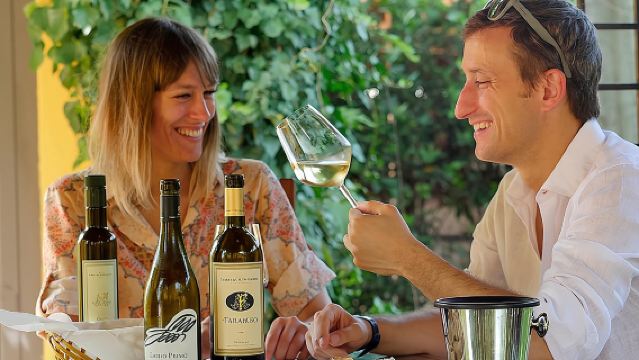 Bolgheri: Classic Wine Tasting with Winery Tour