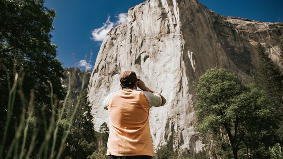 Yosemite Highlights & Giant Sequoias Day Tour from San Francisco