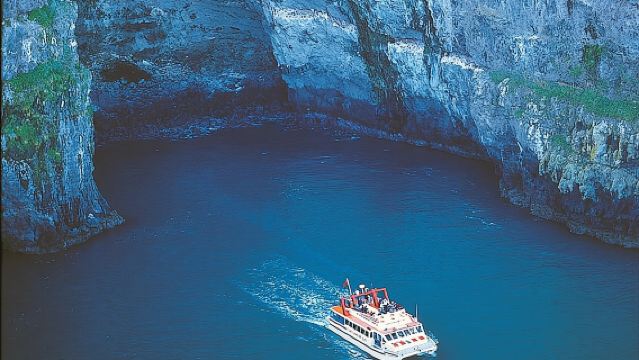Tour turístico de día completo en Akaroa desde Christchurch