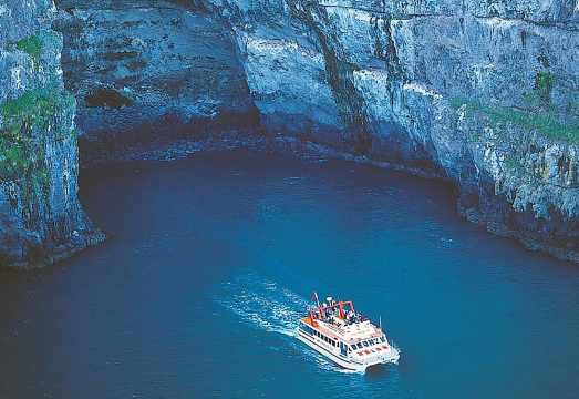 Akaroa Full Day Sightseeing Tour from Christchurch