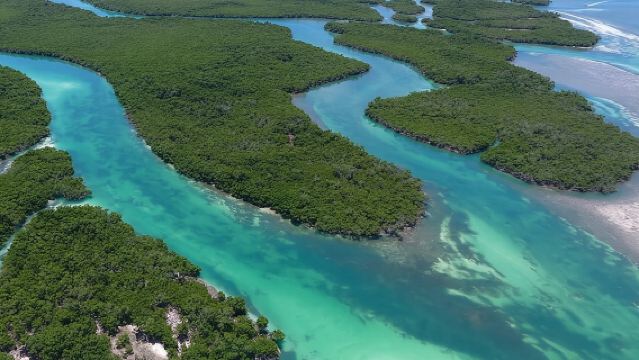 ทัวร์ผจญภัยซาฟารีอีโค่แซนด์บาร์ที่คีย์เวสต์ พร้อมกิจกรรมดำน้ำตื้น