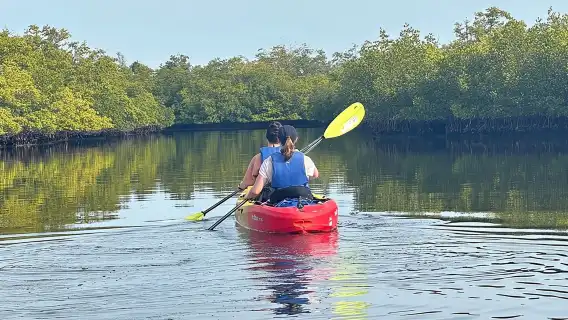 Robinson Preserve Mangrove Tour