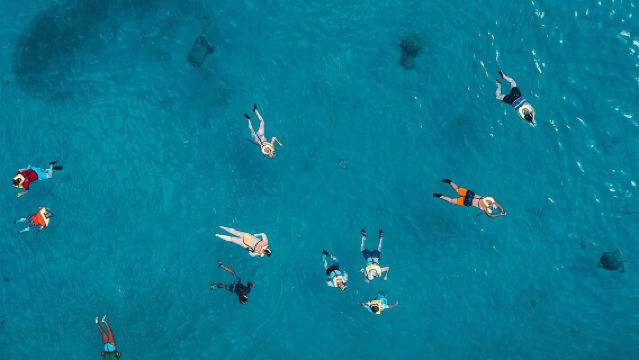 Waikiki: Turtle Canyon Snorkel