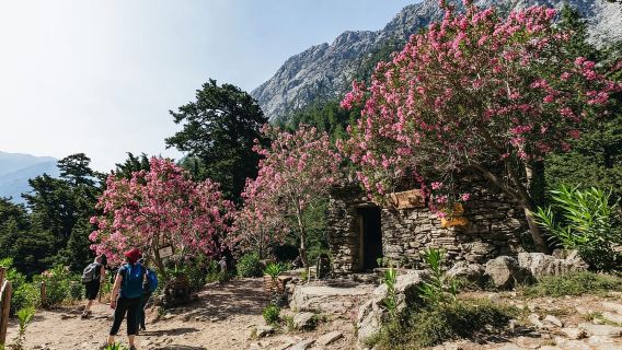 From Georgioupolis: Samaria Gorge one Day Hike with Guide