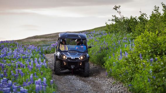 Reykjavik: Buggy Safari Tour with Hotel Transfers