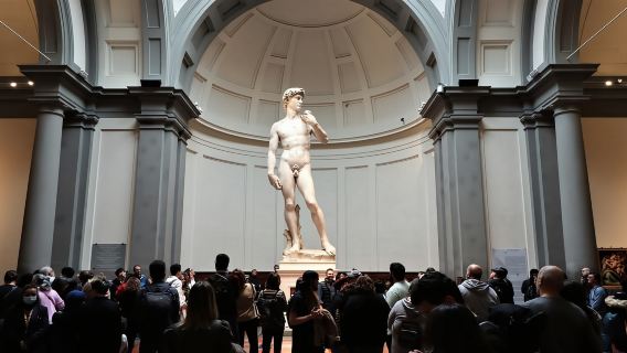 Firenze: tour a piedi per piccoli gruppi con David e Duomo