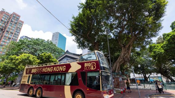 Hong Kong: tour sali e scendi in autobus Big Bus e Peak Tram opzionale
