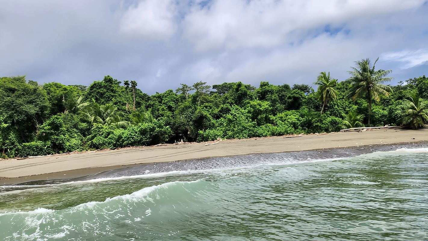 Drake Bay: Corcovado National Park and Sirena Station Tour