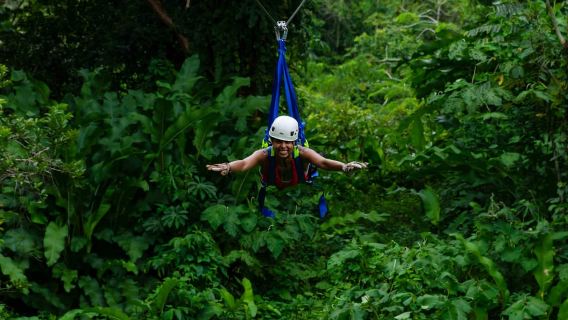 Puerto Viejo Limón : meilleur tour de la canopée / tyroliennes