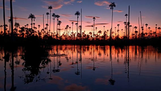 Dari Puerto Maldonado || Menaiki bot matahari terbenam selama 3 jam ||