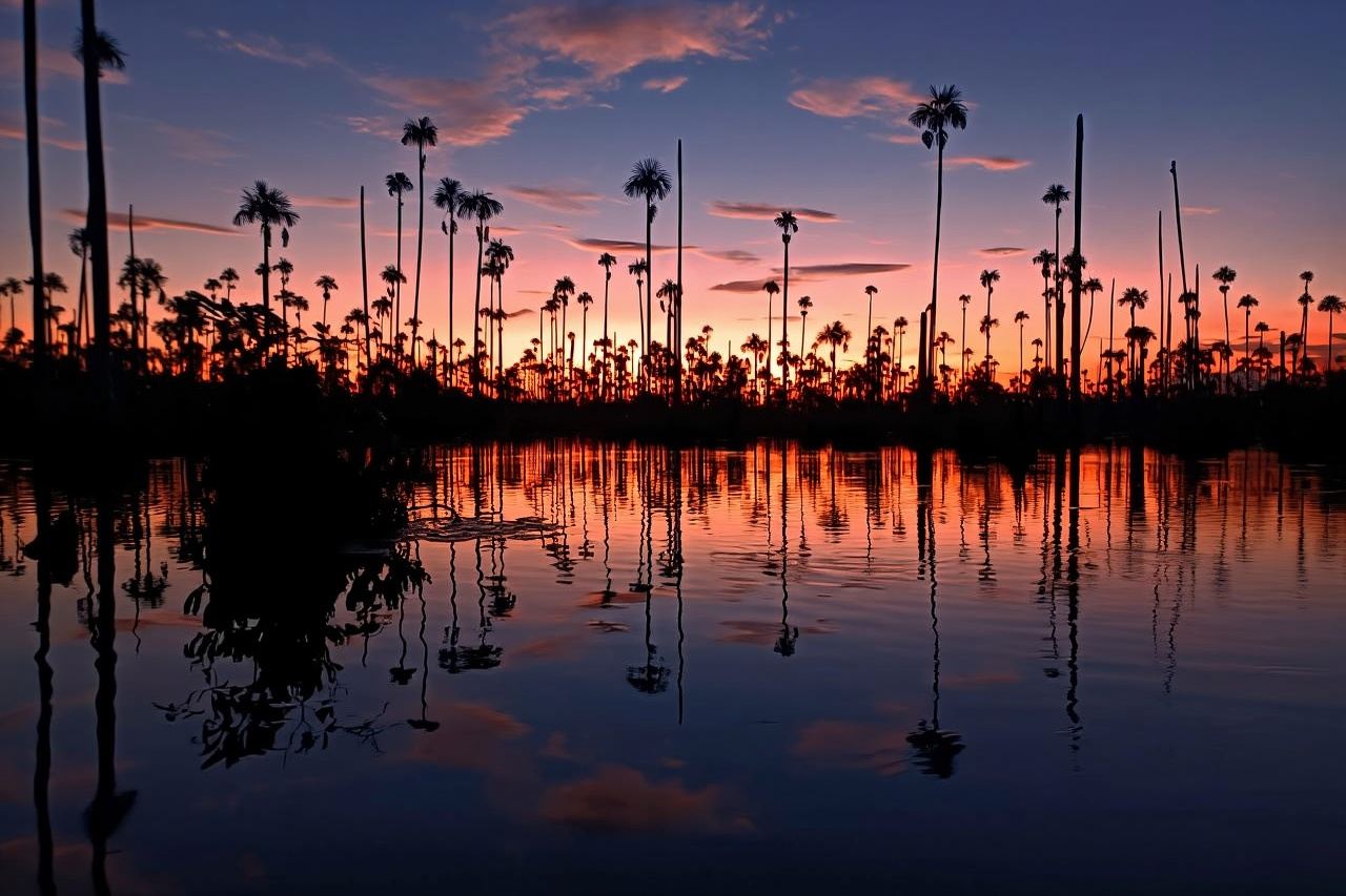 From Puerto Maldonado || Sunset boat ride for 3 hours ||