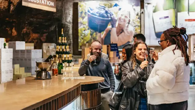 從巴黎出發：勃根地地區酒莊品酒之旅