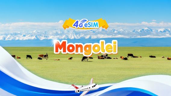 eSIM 4G Mongolie|Forfait tout compris|Total de 1 Go à 30 Go|3-30 jours|Format 24 heures|Code QR