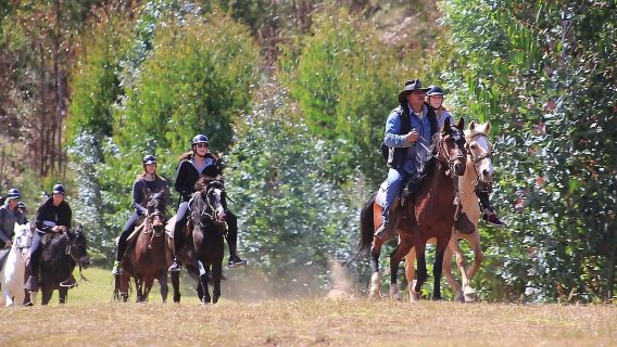 Horseback riding to the Temple of the Moon and Chacan Hill