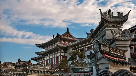 Zhoushan, Zhejiang: Reisebegleitung vor Ort in Chinesisch, Englisch, Japanisch, Koreanisch, Deutsch, Französisch und Russisch + Geschäfts- und Messeübersetzung vor Ort|Privattransfer
