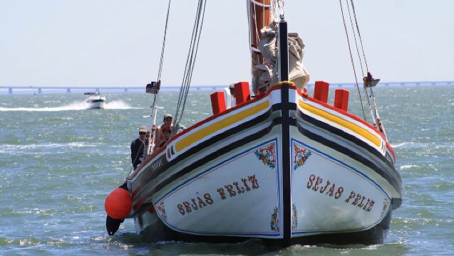 Lisbonne Croisière Traditionnelle en Bateau avec Guide