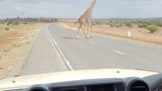 Arusha National Park Half Day Tour