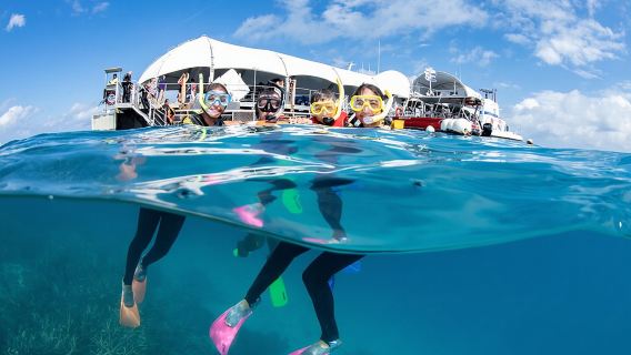 CairnsTours