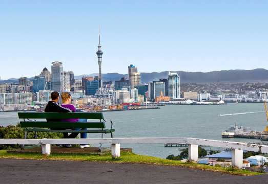Auckland City Small-Group Morning Discovery Tour