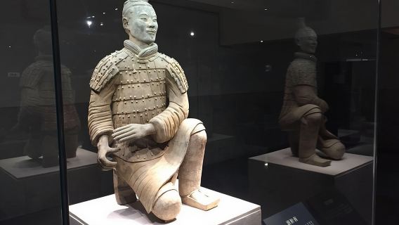 Excursión de un día en grupo a Xi'an, incluyendo los Guerreros de Terracota