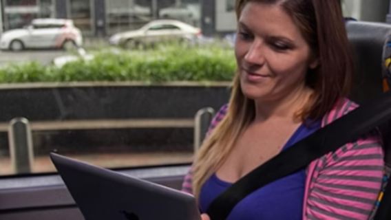 Билеты на автобус InterCity по северо-восточному маршруту Южного острова Новой Зеландии (Крайстчерч туда и обратно/в обе стороны с возможностью выбора Кайкоура/Акароа)