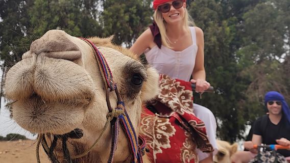 Paseos en camello por Agadir. Mercado local con té y pasteles.