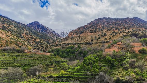 Atlas mountains and Agafay desert day trip from Marrakesh