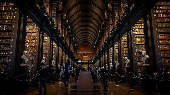 Historic highlights of Dublin with Trinity College private walking tour