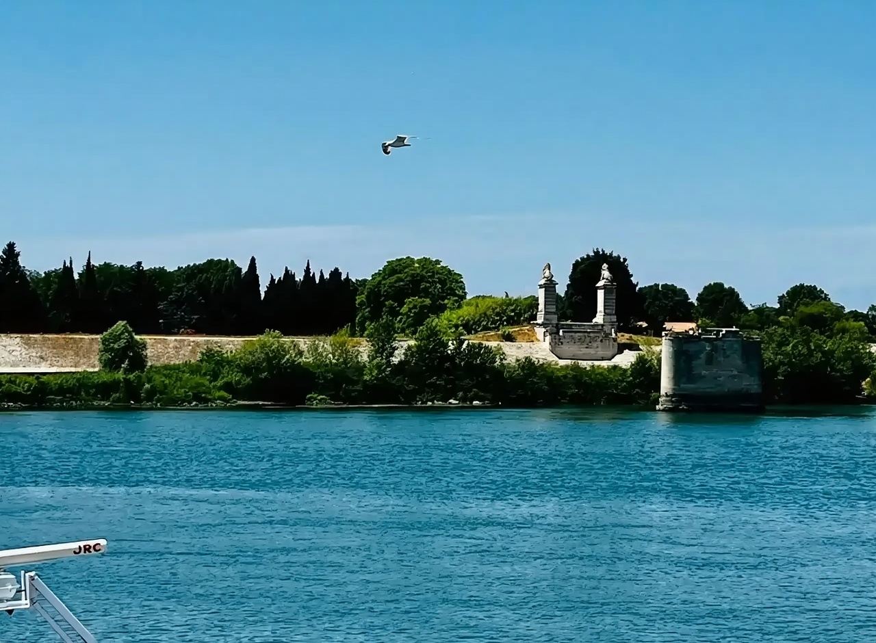 法國阿維尼翁+呂貝隆自然公園+普羅旺斯薰衣草+ 巴本動物公園