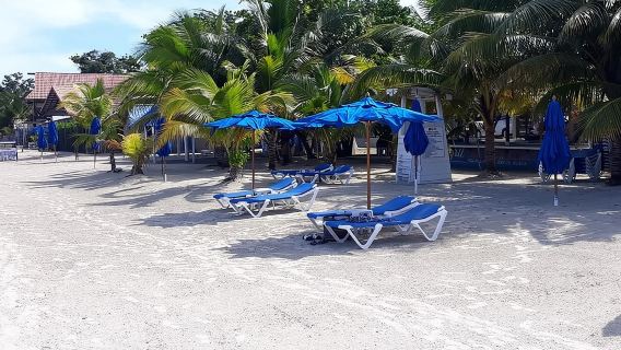 Tour di 7 miglia della spiaggia di Negril e del Rick's Cafe