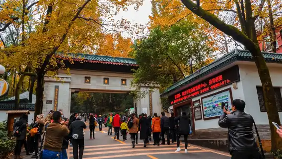 ทัวร์ 1 วัน ฉางซาเกาะจูจื่อโจว + พิพิธภัณฑ์จังหวัดหูหนาน + พื้นที่ชมวิวหยูหลง + รักคืนพาวิลเลี่ยน [ราคารวมทุกอย่าง] เที่ยวล้วนๆ