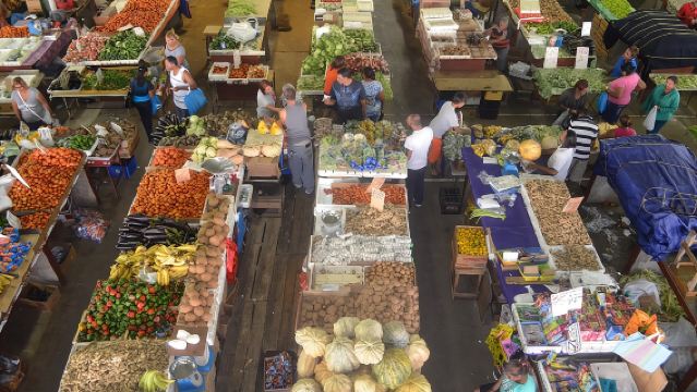 Mini Tour dell'Isola di Trinidad