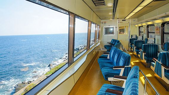 Japan Tokyo Izu 1-day tour: Mt. Omuro + zoo + scenic train