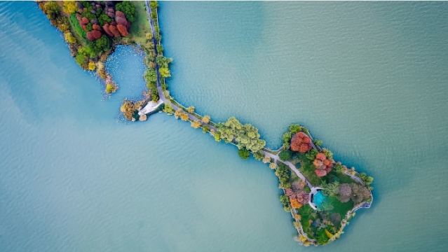 【老友會-私家一日遊】空軌+武漢大學+東湖綠道+東湖磨山