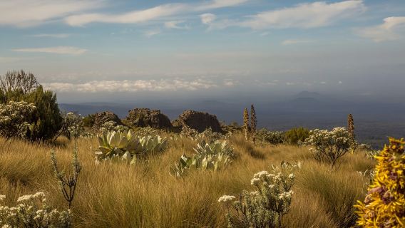 Monte Kenia de 5 días: caminata aventurera por la ruta Chogoria-Narumoro.