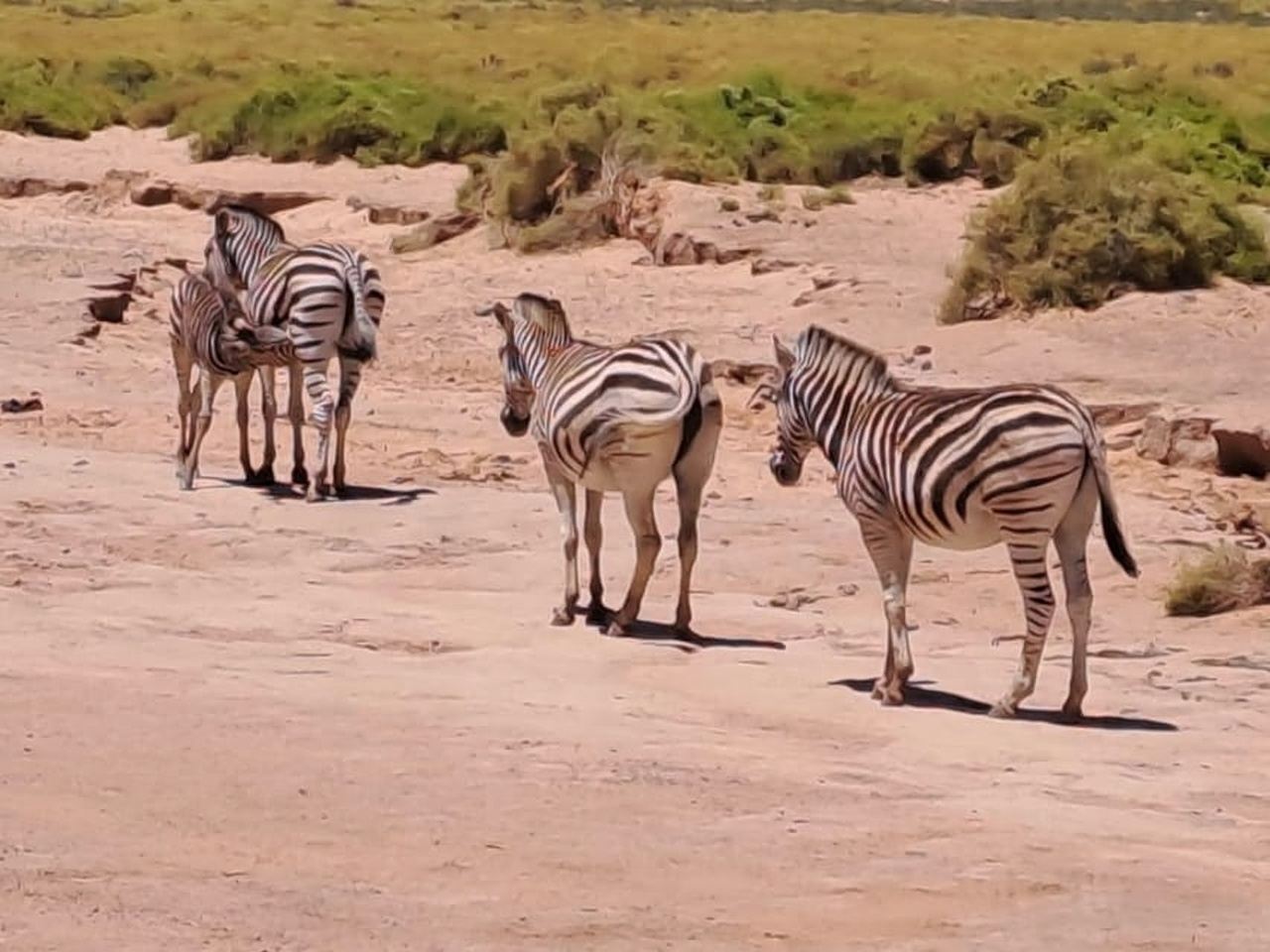 Mpumalanga: Full Day Tour with Lisbon and Berlin Falls