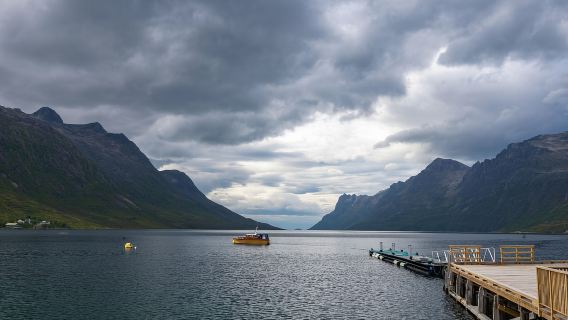 Tromsø: Ekspres Fjord Road Trip