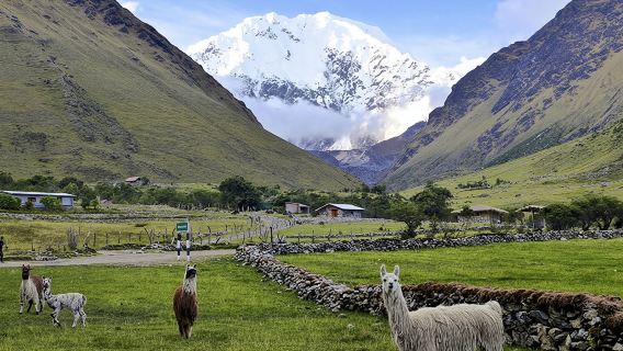 Da Cusco: trasporto a Soraypampa con colazione