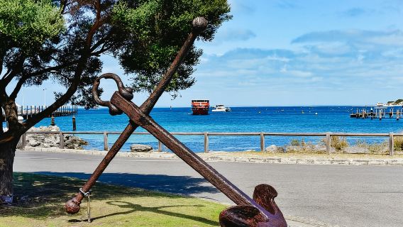 フリーマントル発:ロットネスト島フェリーと自転車で巡る日帰りツアー