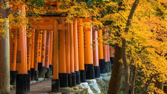 Из Осаки: поездка на поезде в Сагано и однодневная экскурсия по Киото