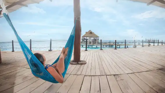 Cancun: Dolphin Connection & Isla Mujeres Beach Club Buffet