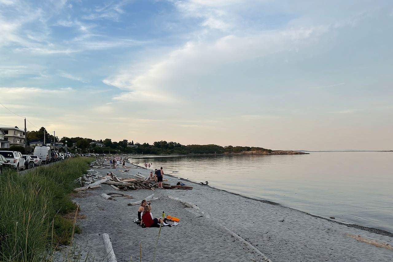빅토리아: 윌로우스 비치 패들보드 투어