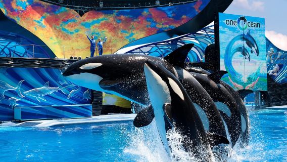 SeaWorld Orlando: Park Admission Ticket