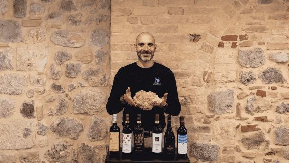 San Gimignano: Degustazione di vini presso Il Colombaio