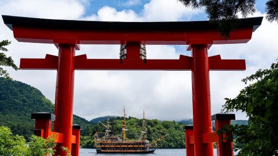 Tokio|Parque de Oishi + Tori de la Paz + Acuario de Hakone + Lago Ashi + traslado en coche compartido