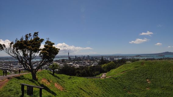 新西蘭奧克蘭 伊甸山-天空塔-海灣大橋可定制南北島包車