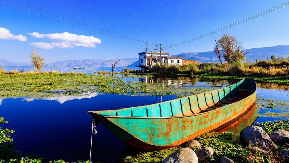 Servizi di interpretariato per guide turistiche a Dali [Itinerari di viaggio personalizzati/Servizi multilingue]