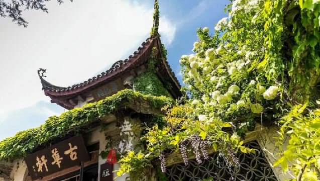 Explore Huishan Ancient Town and Enjoy Taihu Lake Scenery + Wuxi Day Tour + Departing from Shanghai
