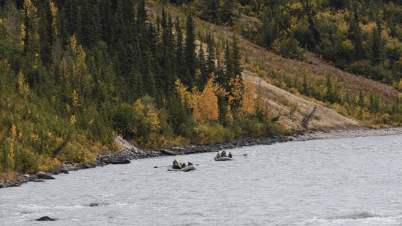 Naturaleza salvaje: Tour de rafting clase I-III en el Parque Nacional Denali