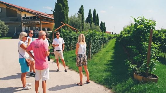Soave Borgo and Wineries - Private Tour from Verona